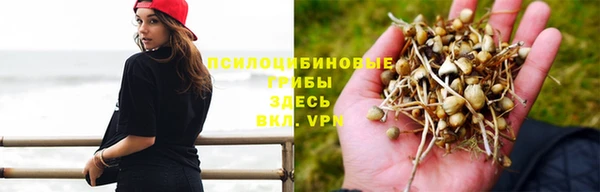 ешки Красноперекопск