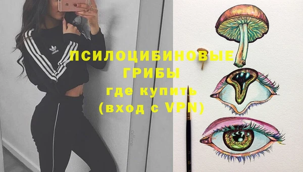 индика Куйбышев