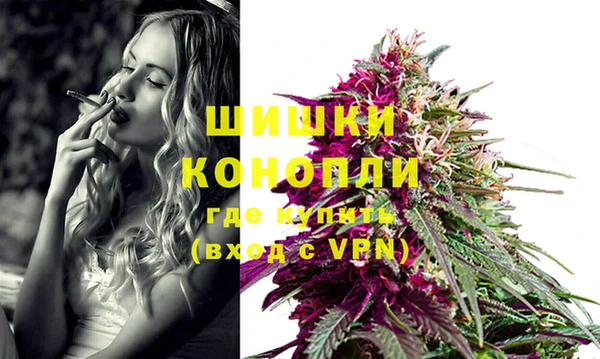 apvp Краснослободск