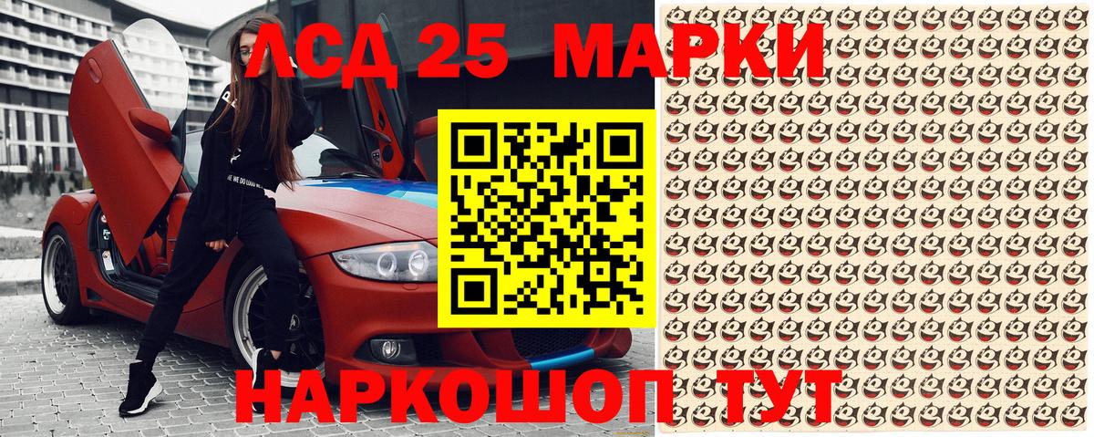 Галлюциногенные грибы Сокол