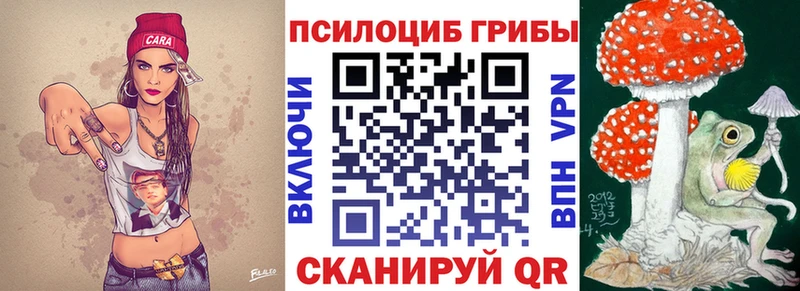 Галлюциногенные грибы Psilocybine cubensis  Сокол 