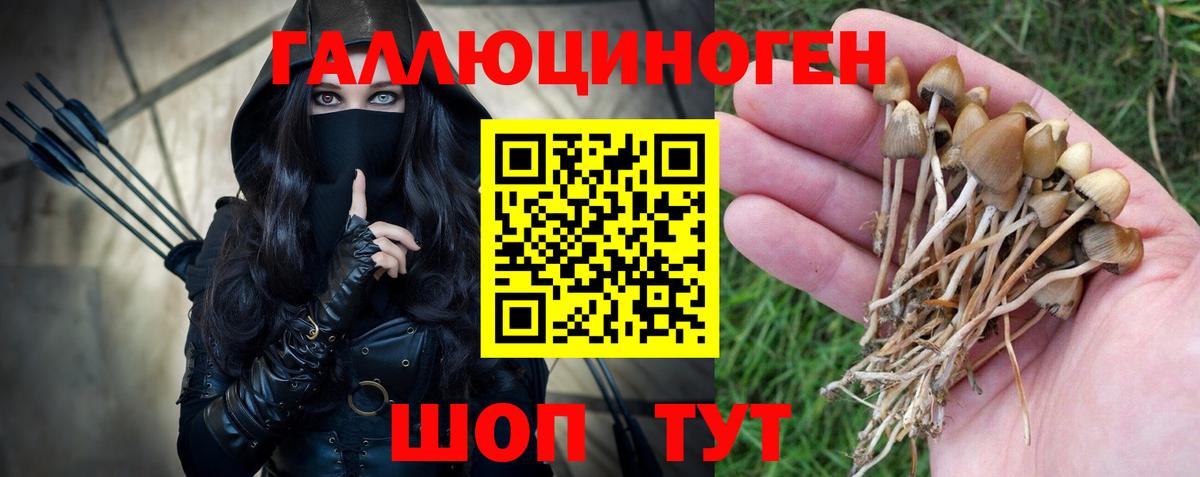 Сокол  Галлюциногенные грибы Magic Shrooms  Галлюциногенные грибы Cubensis  Вход с VPN 