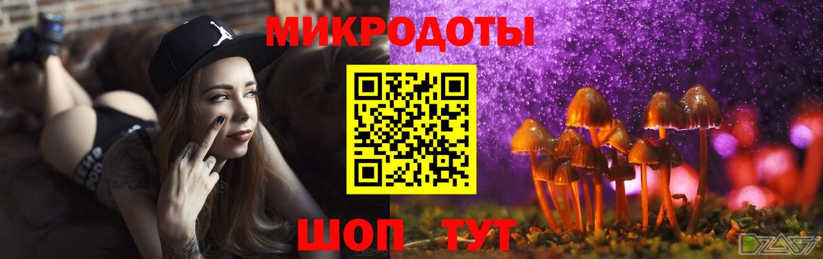 Псилоцибиновые грибы Magic Shrooms Сокол